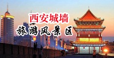 www.骚逼6324fryrrjjb中国陕西-西安城墙旅游风景区